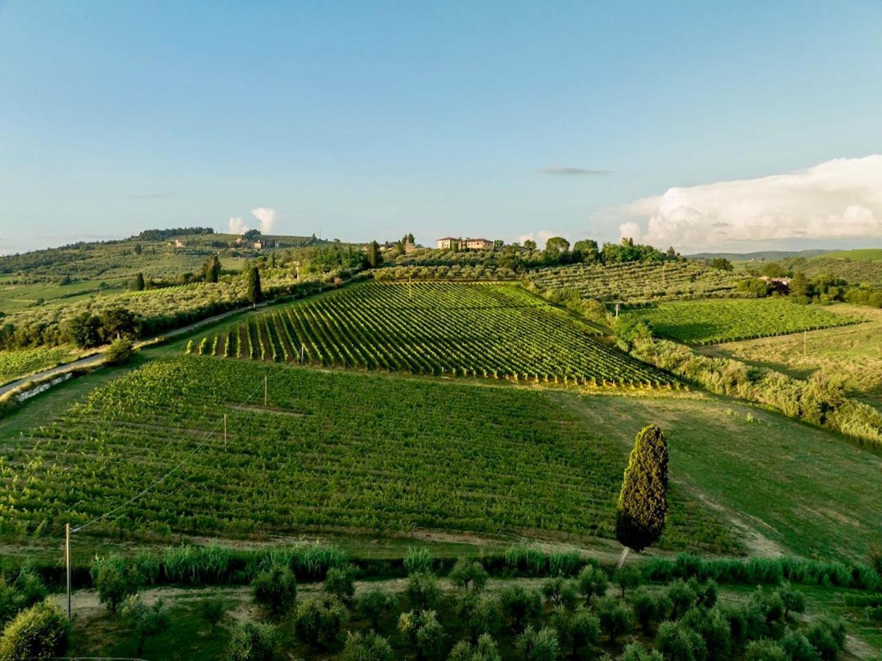Vittoria Chianti Vacations Διαμέρισμα Poggibonsi Εξωτερικό φωτογραφία